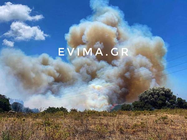 Εύβοια: Οριοθετήθηκε η φωτιά στην Κάρυστο - Υπεράνθρωπες προσπάθειες από τους πυροσβέστες