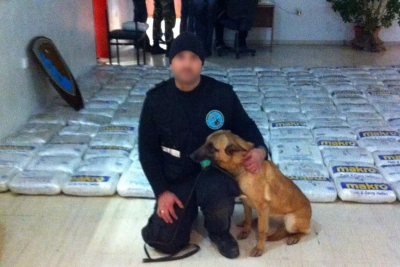 Ηγουμενίτσα: Έφυγε από τη ζωή το σκυλί «θρύλος» του λιμεναρχείου