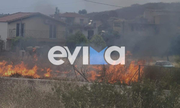 Φωτιά τώρα στη Χαλκίδα: Καίει ξερά χόρτα κοντά σε σπίτια στη «Χαραυγή» (Φωτό)