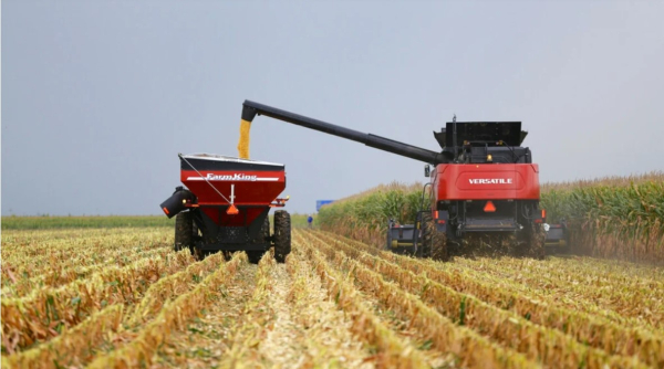 Η Κίνα καλεί τη Ρωσία και την Ουκρανία να «επαναλάβουν σύντομα τις εξαγωγές σιτηρών»