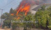 Φωτιά στο Θεολόγο: Καίγονται σπίτια - Συγκλονίζουν οι εικόνες