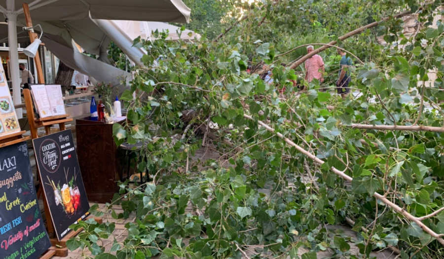 Αθήνα: Κατέρρευσε δέντρο και έπεσε πάνω σε εστιατόριο
