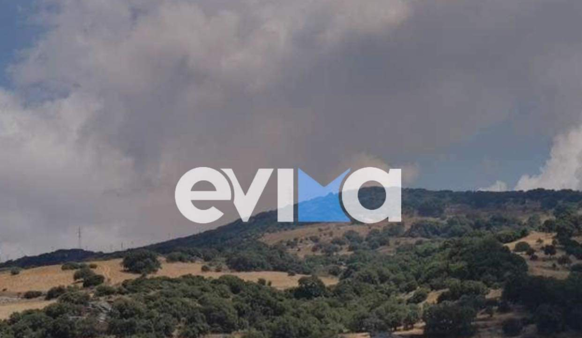 Νέα φωτιά τώρα στην Εύβοια - Οι πρώτες πληροφορίες