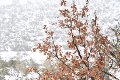 Κακοκαιρία Μπάρμπαρα: Ποιες περιοχές θα ξυπνήσουν με χιόνι την Κυριακή