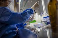 Κορονοϊός: Καλά νέα από τις πρώτες δοκιμές του εμβολίου της Οξφόρδης