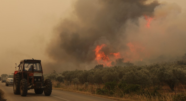 Φωτιά στον Έβρο: Σε ύφεση η πυρκαγιά - Συνεχίζουν να επιχειρούν επίγειες και εναέριες δυνάμεις