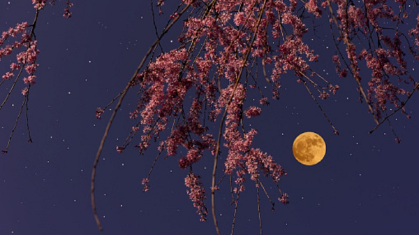 Πανσέληνος Μαρτίου 2022: Πότε θα δούμε το «Φεγγάρι του Σκουληκιού»