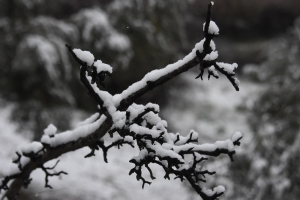 Σάκης Αρναούτογλου: Προειδοποίηση για σφοδρό χιονιά από τη μέρα του Αγίου Βαλεντίνου