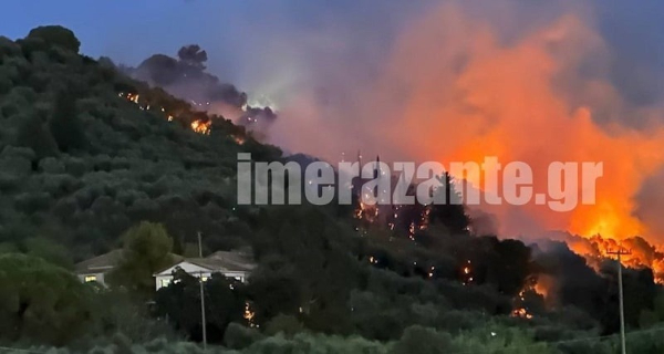 Ζάκυνθος: Οριοθετήθηκε η φωτιά στην περιοχή του Κρυονερίου