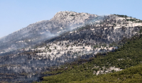 Η Αττική εκπέμπει SOS: Οι φωτιές έκαναν στάχτη το 33% των δασών μέσα σε 7 χρόνια