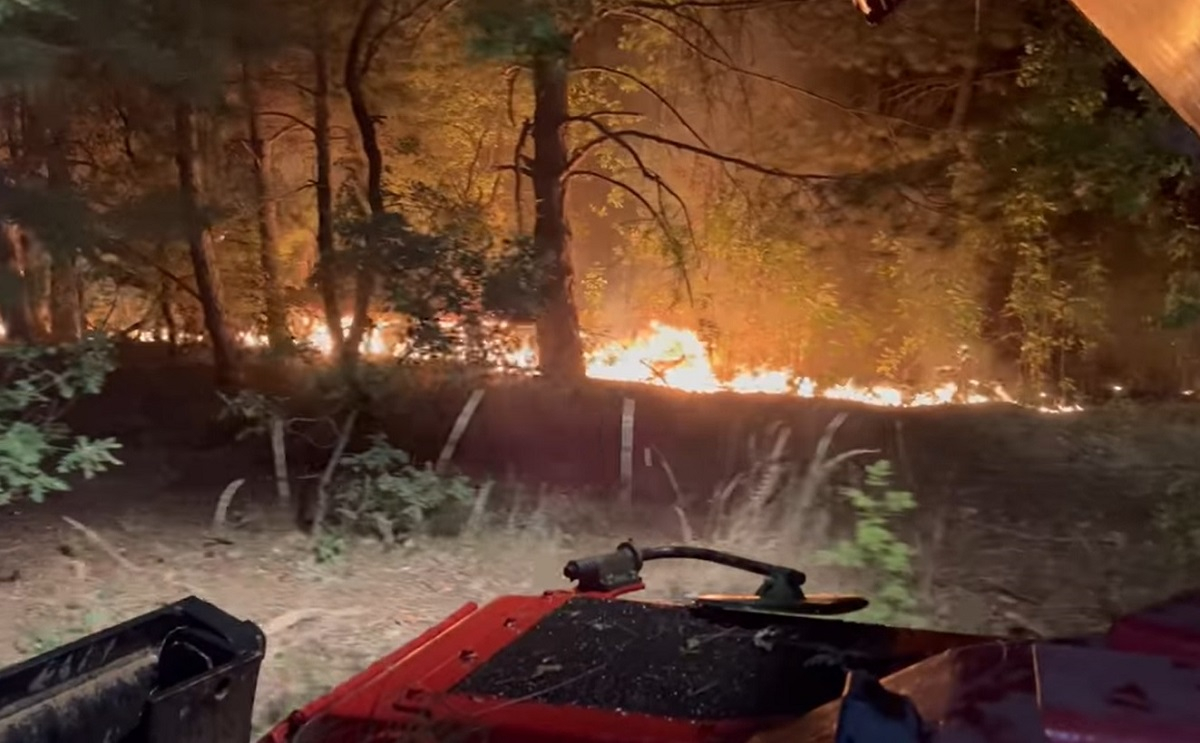 Δαδιά: Συγκλονιστικά βίντεο μέσα στη φωτιά - Εικόνες θλίψης