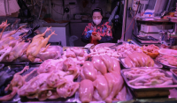 Το πρώτο κρούσμα της γρίπης των πτηνών H3N8 σε άνθρωπο καταγράφηκε στην Κίνα