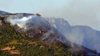 Εύβοια: Ολονύχτια μάχη με τις φλόγες - Οι καιρικές συνθήκες θα κρίνουν την εξέλιξη της φωτιάς