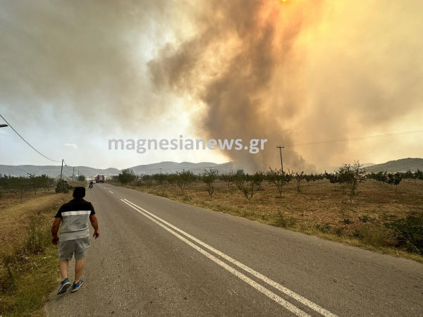 Φωτιά στη Μαγνησία: Απανθρακωμένος εντοπίστηκε ο αγνοούμενος κτηνοτρόφος