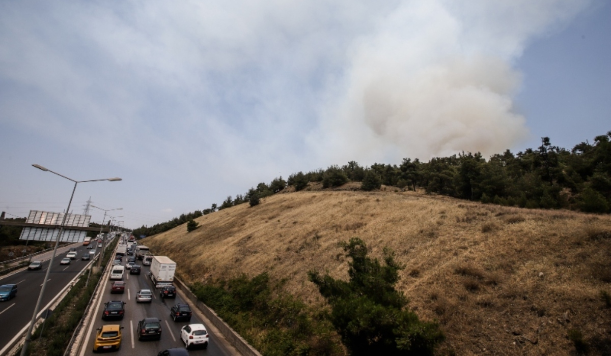 Σέιχ Σου: Κάηκαν πάνω από 90 στρέμματα δάσους