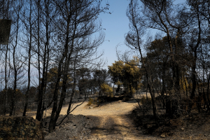Γεράνεια Όρη: Η πιο καταστροφική πυρκαγιά της 10ετίας