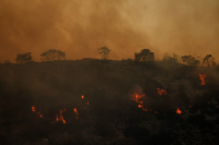 Φωτιά στη Δυτική Αττική: Μάχη με τις φλόγες για 4ο βράδυ, αναζωπυρώσεις σε Λακωνία - Ρόδο, ξημερώνει ακραίος καύσωνας