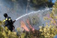 Φωτιά τώρα κοντά σε κατοικημένη περιοχή στην Εύβοια