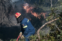Φωτιά στην Πάτρα: Εκκενώνεται ο οικισμός Σούλι, καίγονται σπίτια