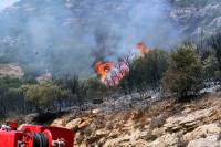 Κόρινθος: Υπό μερικό έλεγχο η φωτιά στο Ελληνοχώρι
