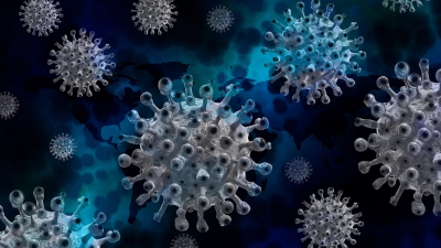Ευλογιά των πιθήκων: Συναγερμός στις ΗΠΑ για τον ιό χωρίς θεραπεία