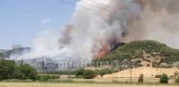 Πυρκαγιά στην Μακρακώμη Φθιώτιδας, κοντά σε οικισμούς (video)