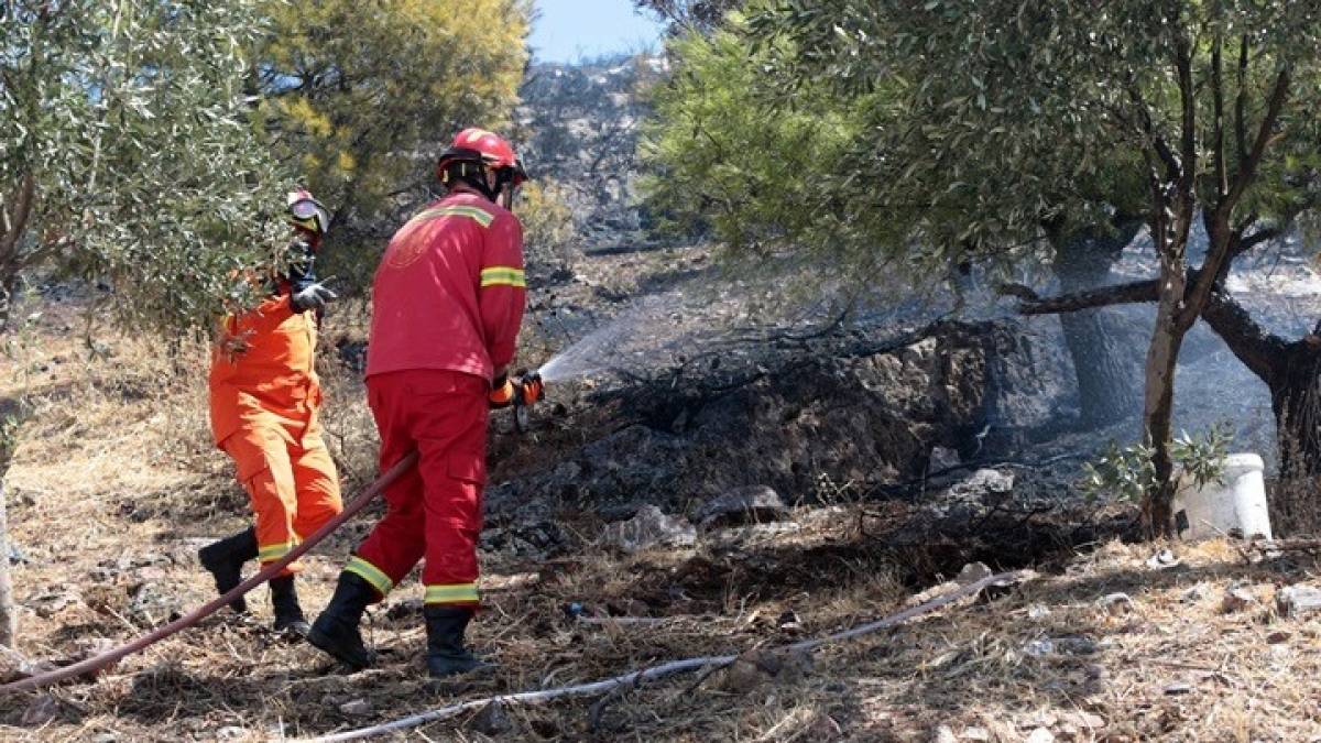 Πυροσβεστική: 46 οι δασικές πυρκαγιές σήμερα – Σε ύφεση οι φωτιές σε Αρτέμιδα και Δελφούς