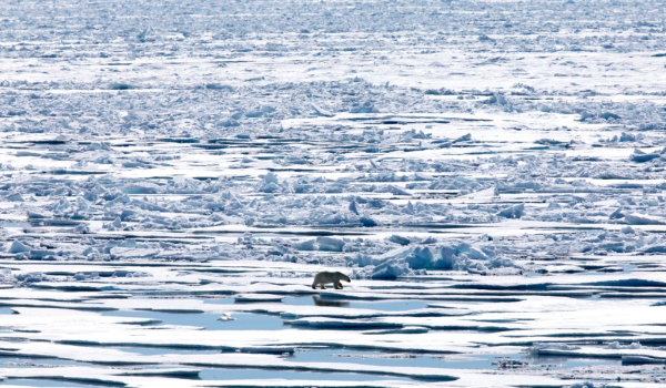 Δραματικό ρεκόρ μείωσης του θαλάσσιου πάγου - Η χαμηλότερη τιμή από το 1978