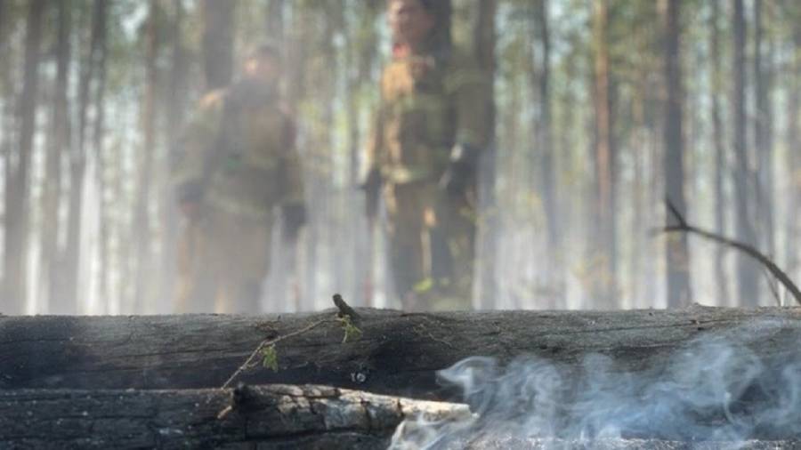 Σιβηρία: Πυροσβέστες δημιουργούν νέφη για να σβήσουν φωτιές