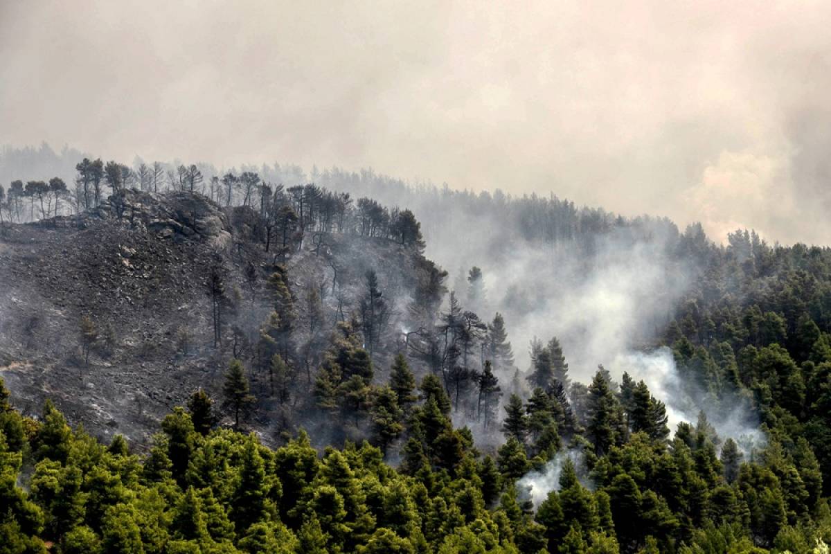 Εύβοια: Οριοθετημένη αλλά επικίνδυνη η φωτιά - Ανυπολόγιστη οικολογική καταστροφή