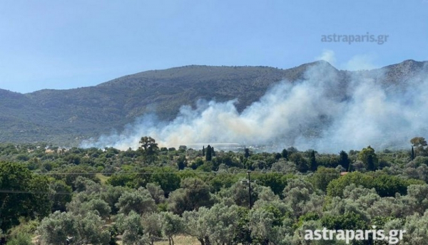 Χίος: Φωτιά κοντά στο ΚΥΤ της ΒΙΑΛ