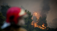 Meteo: «Έκρηξη» της φωτιάς στα Βίλια - Πού αποδίδεται