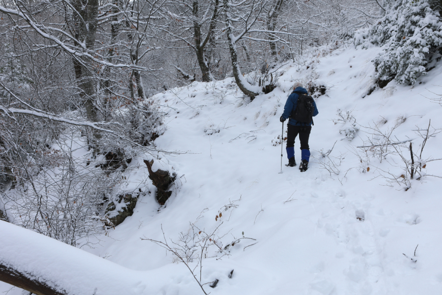 Καταφτάνει η κακοκαιρία: Ψυχρή εισβολή με χιόνια - Η τελευταία πρόγνωση για Αττική