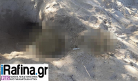 Φρίκη στη Ραφήνα: Παιδάκι έπαιζε στην παραλία και βρήκε οστά και ανθρώπινο κρανίο
