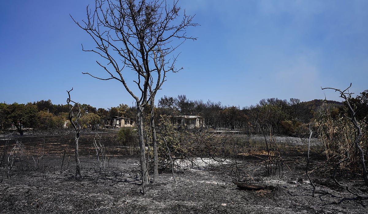 Λέσβος: Κανένα ενεργό μέτωπο φωτιάς – Επιστρέφουν στα σπίτια τους οι κάτοικοι Βρίσας και Σταυρού