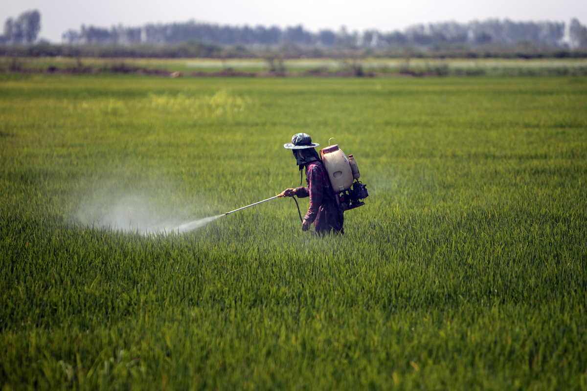 Εταιρείες φυτοφαρμάκων απέκρυψαν μελέτες τοξικότητας - Με την πλάτη στον τοίχο η Ευρώπη