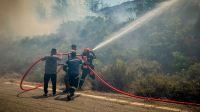 Φωτιά στη Μαγνησία: 45χρονος κτηνοτρόφος έτρεξε να σώσει τα ζώα του και αγνοείται