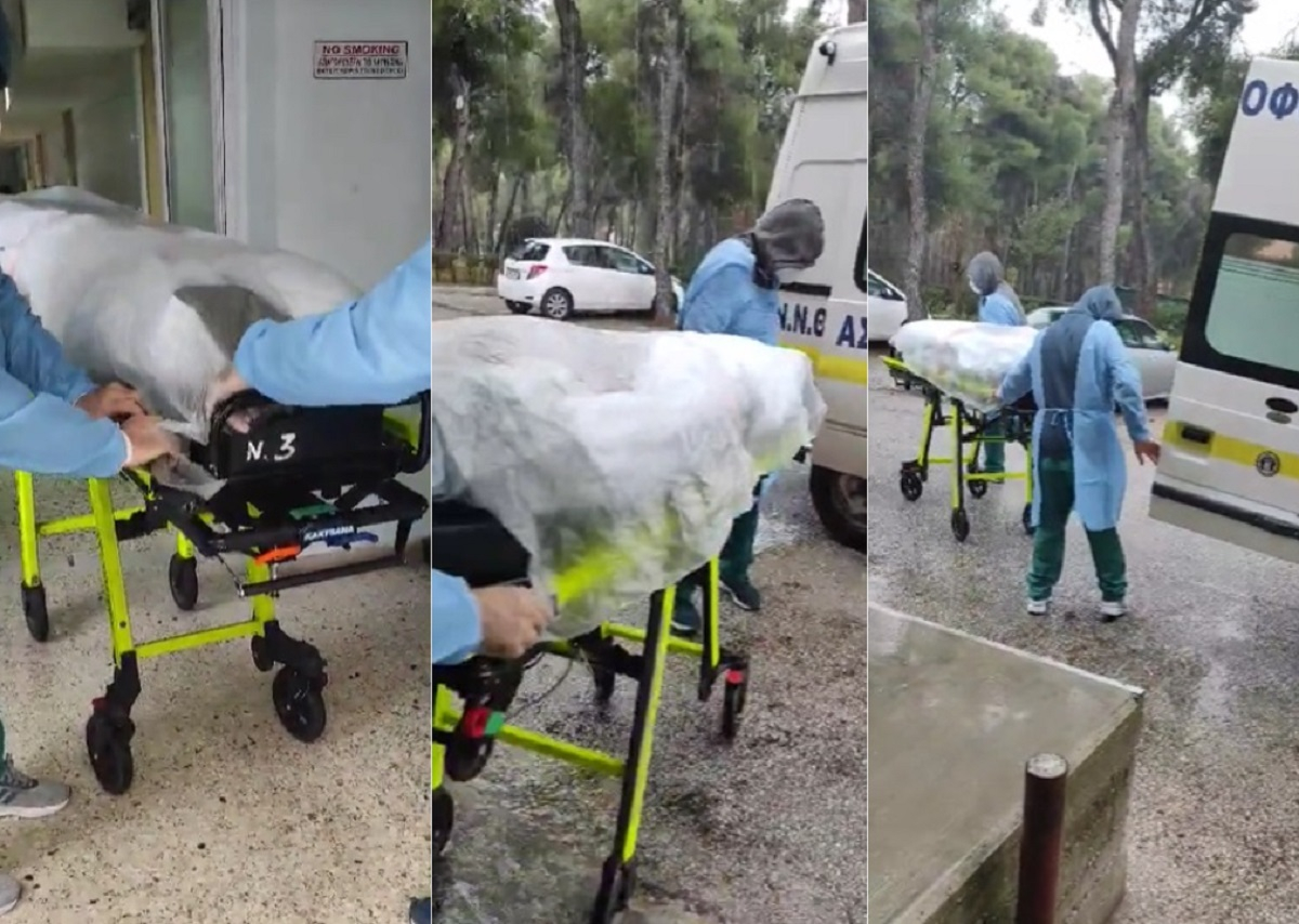 ΕΣΥ - Ελλάδα 2024: Ασθενής μεταφέρεται πάνω σε φορείο με... νάιλον για να προστατευθεί από τη βροχή (βίντεο)
