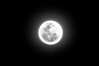 Αύριο η πανσέληνος Ιανουαρίου 2024 – Η ώρα που θα είναι μεγαλύτερο το «Φεγγάρι του Λύκου»