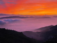 Βόλος: Απίστευτη φωτογραφία με την ομίχλη που μοιάζει με πίνακα ζωγραφικής