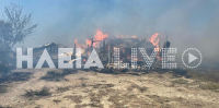 Φωτιά τώρα στην Ηλεία: Στη Σπιάτζα Πύργου το μέτωπο της πυρκαγιάς