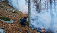 Δώδεκα μέρες καίει η φωτιά στη Ροδόπη: Γιατί είναι ωφέλιμη οικολογικά, τι λένε οι επιστήμονες