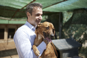 Παγκόσμια Ημέρα Αδέσποτων: Επίσκεψη Μητσοτάκη στο καταφύγιο ζώων Ηλιούπολης