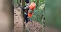 Σκαρφάλωσαν στα δέντρα για να σωθούν από αγριογούρουνο