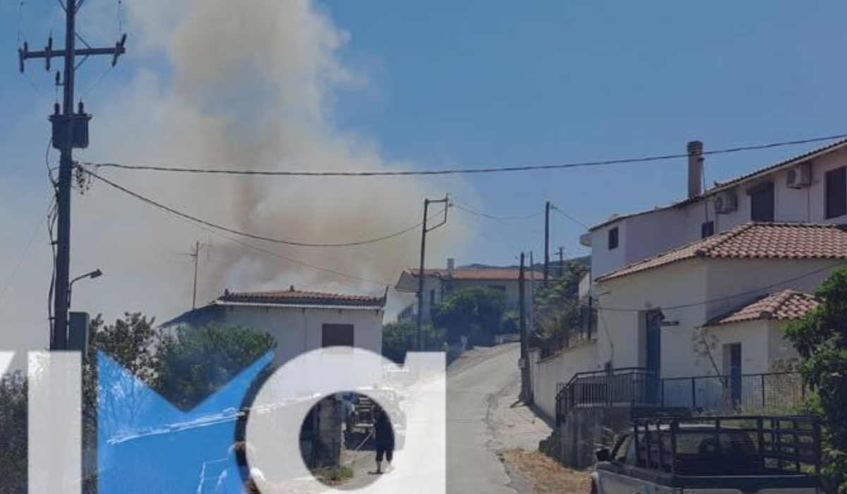 Φωτιά στον Κρεμαστό Ευβοίας: Ενισχύθηκαν οι δυνάμεις - «Έφτασε στην είσοδο του χωριού»