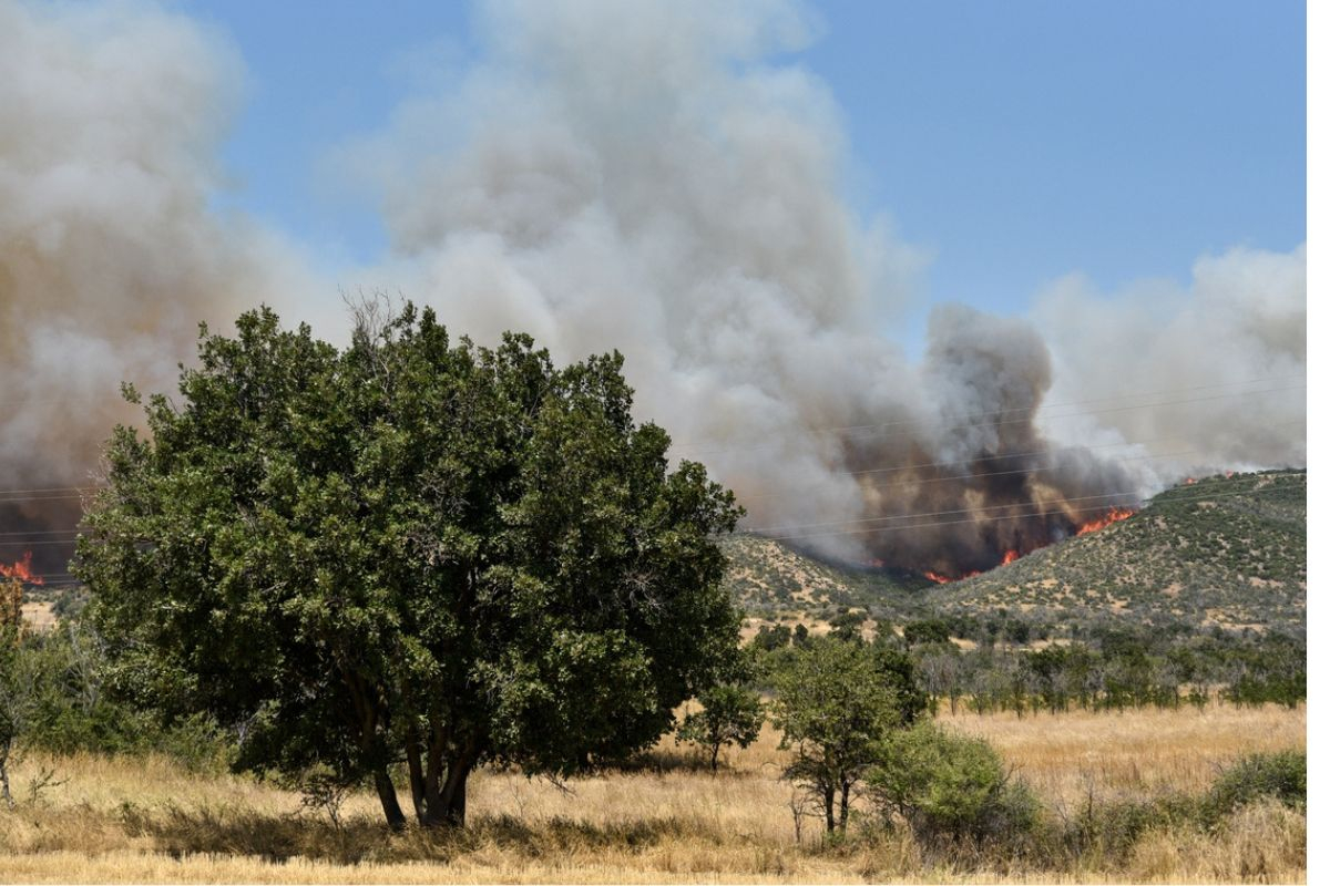 «Χειρότερο» το φετινό καλοκαίρι: Αυξημένος κίνδυνος για μεγάλες φωτιές - Η προειδοποίηση των ειδικών