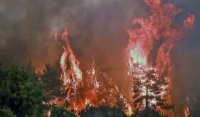 «Οι περιοχές που καίγονται στην Εύβοια δεν σχετίζονται με ανεμογεννήτριες», ξεκαθαρίζει ο Δήμαρχος Ισταίας - Αιδηψού