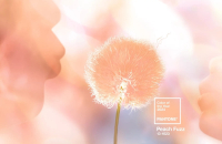 Peach Fuzz: Γιατί επελέγη το ροδακινί ως το χρώμα του 2024