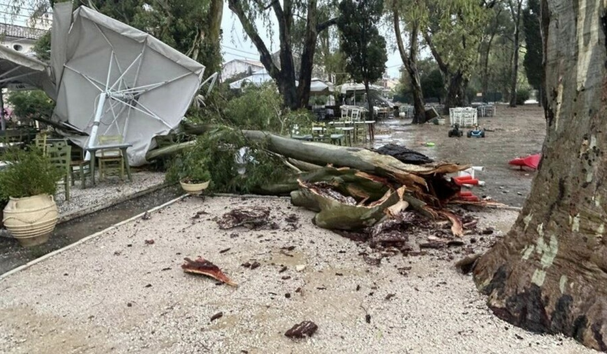Κακοκαιρία Daniel: Χωρίς ρεύμα περιοχές της Κέρκυρας - Δέντρα έπεσαν σε ταβέρνα