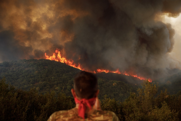 Φωτιά στον Έβρο: Οικολογική καταστροφή στη Δαδιά - Μάχη να μην περάσει στην καρδιά του δάσους